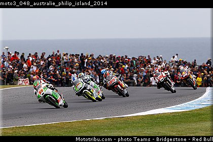moto3_048_australie_philip_island_2014.jpg