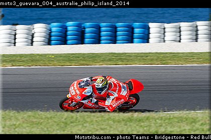 moto3_guevara_004_australie_philip_island_2014.jpg