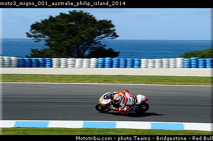 moto3_migno_001_australie_philip_island_2014.jpg