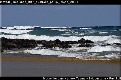 motogp_ambiance_007_australie_philip_island_2014.jpg