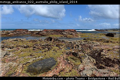 motogp_ambiance_022_australie_philip_island_2014.jpg