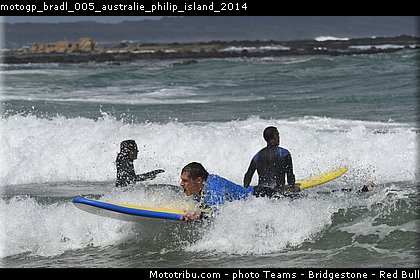 motogp_bradl_005_australie_philip_island_2014.jpg
