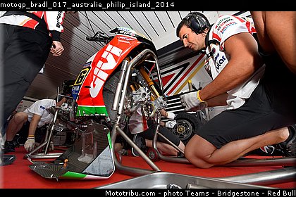 motogp_bradl_017_australie_philip_island_2014.jpg