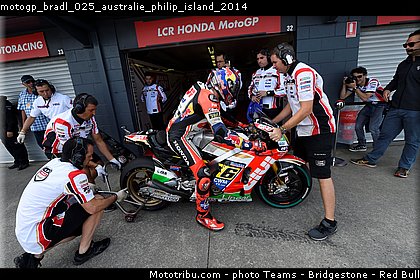 motogp_bradl_025_australie_philip_island_2014.jpg