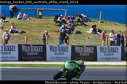 motogp_hayden_006_australie_philip_island_2014.jpg
