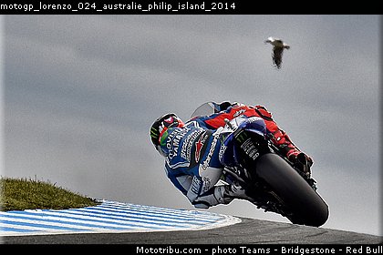 motogp_lorenzo_024_australie_philip_island_2014.jpg