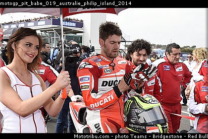 motogp_pit_babe_019_australie_philip_island_2014.jpg