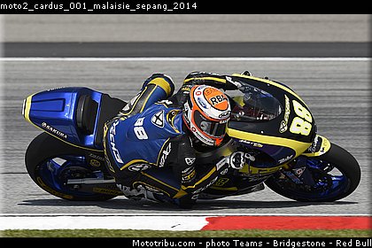 moto2_cardus_001_malaisie_sepang_2014.jpg