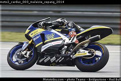 moto2_cardus_003_malaisie_sepang_2014.jpg