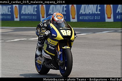 moto2_cardus_015_malaisie_sepang_2014.jpg