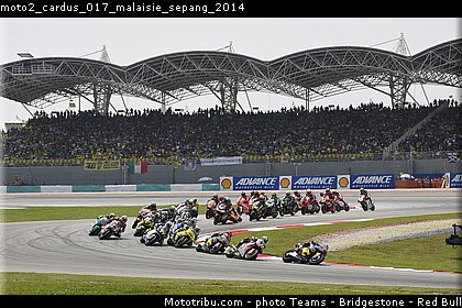 moto2_cardus_017_malaisie_sepang_2014.jpg