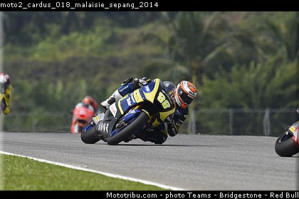 moto2_cardus_018_malaisie_sepang_2014.jpg