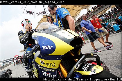 moto2_cardus_019_malaisie_sepang_2014.jpg