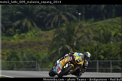 moto2_luthi_005_malaisie_sepang_2014.jpg