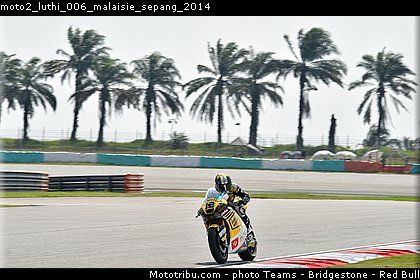 moto2_luthi_006_malaisie_sepang_2014.jpg