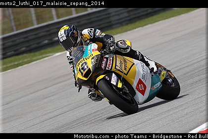 moto2_luthi_017_malaisie_sepang_2014.jpg
