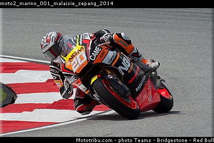 moto2_marino_001_malaisie_sepang_2014.jpg