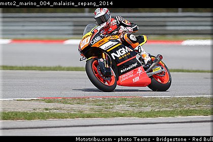 moto2_marino_004_malaisie_sepang_2014.jpg