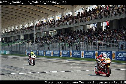 moto2_marino_005_malaisie_sepang_2014.jpg