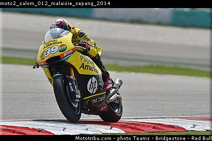 moto2_salom_012_malaisie_sepang_2014.jpg