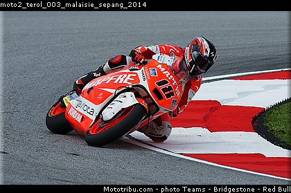 moto2_terol_003_malaisie_sepang_2014.jpg