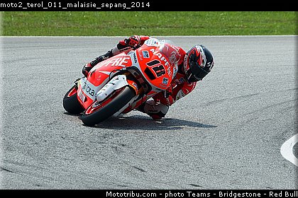 moto2_terol_011_malaisie_sepang_2014.jpg