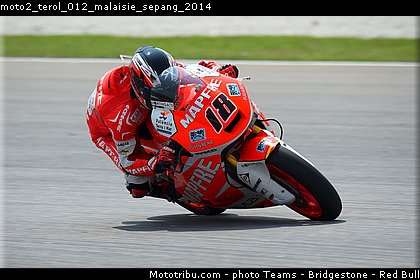 moto2_terol_012_malaisie_sepang_2014.jpg