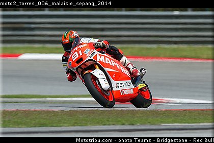 moto2_torres_006_malaisie_sepang_2014.jpg