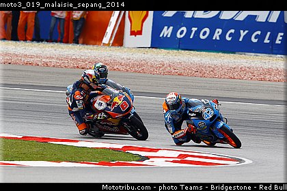moto3_019_malaisie_sepang_2014.jpg
