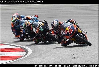 moto3_042_malaisie_sepang_2014.jpg