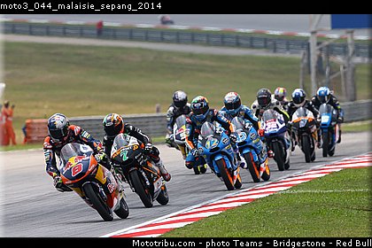 moto3_044_malaisie_sepang_2014.jpg