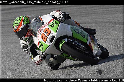 moto3_antonelli_006_malaisie_sepang_2014.jpg