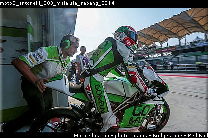 moto3_antonelli_009_malaisie_sepang_2014.jpg