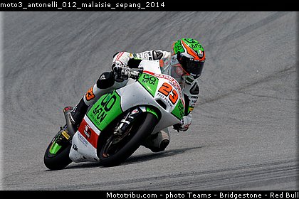 moto3_antonelli_012_malaisie_sepang_2014.jpg