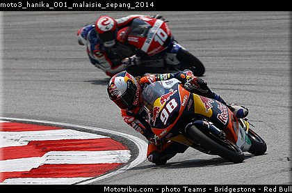 moto3_hanika_001_malaisie_sepang_2014.jpg