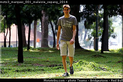 moto3_marquez_001_malaisie_sepang_2014.jpg