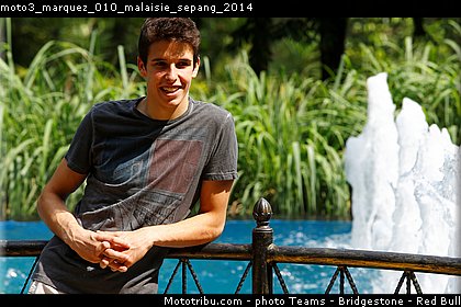 moto3_marquez_010_malaisie_sepang_2014.jpg