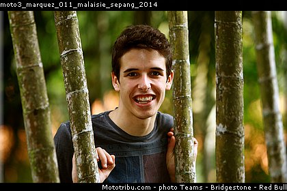 moto3_marquez_011_malaisie_sepang_2014.jpg