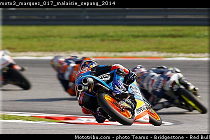 moto3_marquez_017_malaisie_sepang_2014.jpg