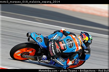 moto3_marquez_018_malaisie_sepang_2014.jpg