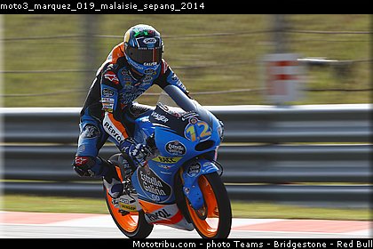 moto3_marquez_019_malaisie_sepang_2014.jpg