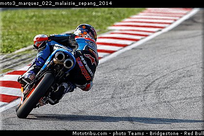 moto3_marquez_022_malaisie_sepang_2014.jpg