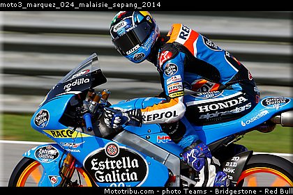 moto3_marquez_024_malaisie_sepang_2014.jpg
