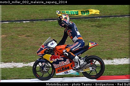 moto3_miller_002_malaisie_sepang_2014.jpg