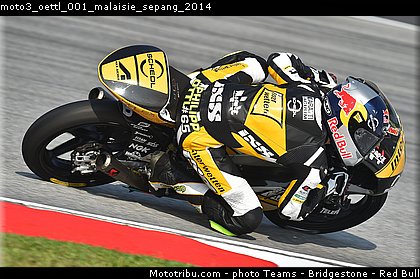 moto3_oettl_001_malaisie_sepang_2014.jpg