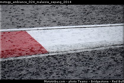 motogp_ambiance_024_malaisie_sepang_2014.jpg