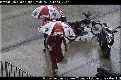 motogp_ambiance_027_malaisie_sepang_2014.jpg