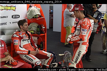 motogp_ambiance_046_malaisie_sepang_2014.jpg