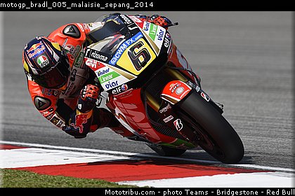 motogp_bradl_005_malaisie_sepang_2014.jpg