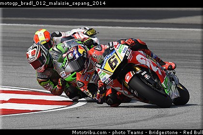 motogp_bradl_012_malaisie_sepang_2014.jpg
